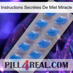 Instructions Secrètes De Miel Miracle 22
